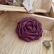 burgundy20c