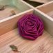 fuchsia20c