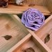 periwinkle20e